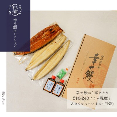 é å·ææµŠããªãLã»ãããçœçŒ5æ¬+è²çŒ5æ¬(2,100~2,400g)+èçœçŒ3ããã¯+ã¿ã¬3åãé
éäžå¯å°åïŒé¢å³¶ãã1612735ã