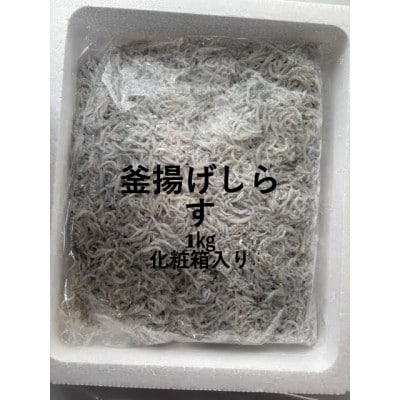 釜揚げしらす 1kg 化粧箱【配送不可地域：離島】【1675703】