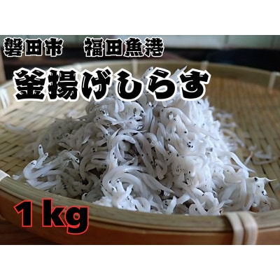 釜揚げしらす 1kg 化粧箱【配送不可地域：離島】【1675703】