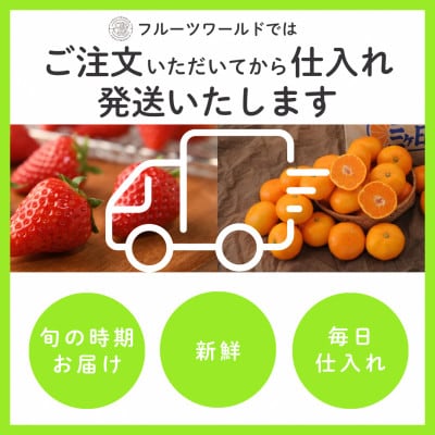 【2026年5月中旬より発送】磐田市 ねらい目 クラウンメロン 山等級 約1.3kg×2個【配送不可地域：離島・北海道・沖縄県】【1640737】