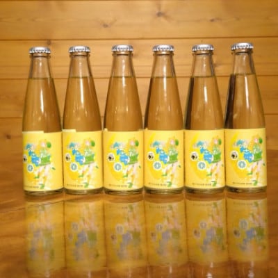 璃の香サイダー200ml瓶計6本セット【配送不可地域：離島】【1695318】