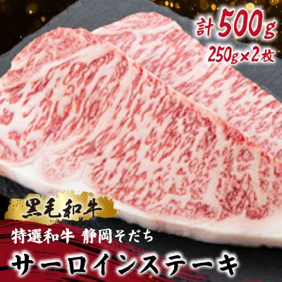 【特選和牛 静岡そだち】サーロインステーキ 250×2枚 ブランド牛 黒毛和牛【配送不可地域：離島】【1721942】