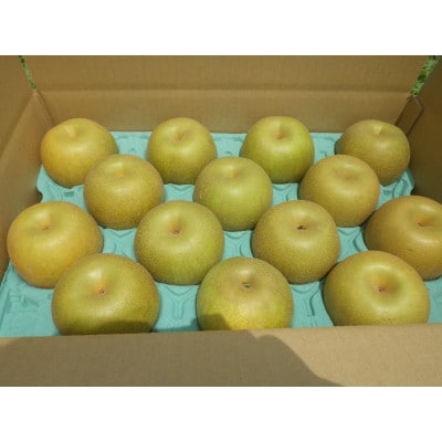 【限定30口】梨『幸水』5kg　2026年8月上旬より発送予定【配送不可地域：離島】【1719699】