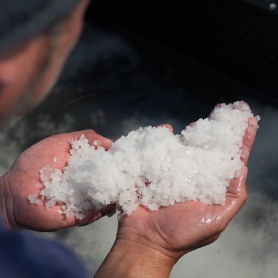 塩「塩衆の藍」 100g【1668054】