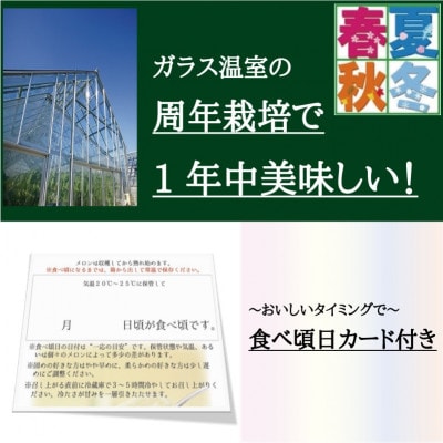 【規格外BIGサイズ!】クラウンメロン規格外大玉　2玉【配送不可地域：離島・北海道・沖縄県】【1416441】