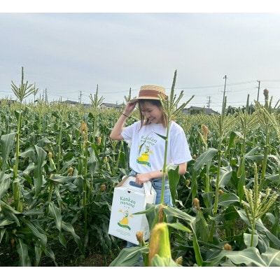 【2026年6月〜7月順次発送】とうもろこし 約5kg 甘々娘(訳あり) 朝採り スイートコーン【配送不可地域：離島・北海道・沖縄県・東北・中国・四国・九州】【1713800】