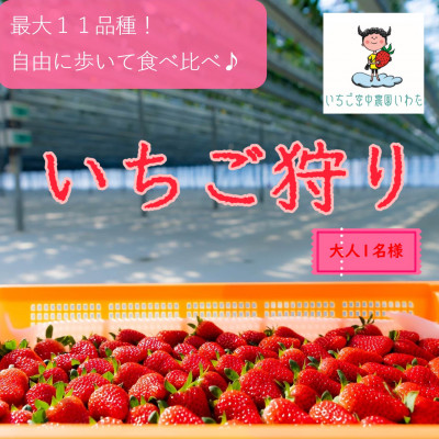 最大11品種食べ比べ!　いちご空中農園いわた　いちご狩り入園券　45分間食べ放題【1450154】