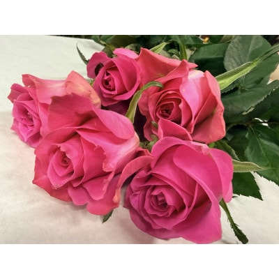 10月発送!同級生コンビでお届けするピンクバラのブーケとおいしいお米(精米)のセット・栄養剤付き!【1708207】