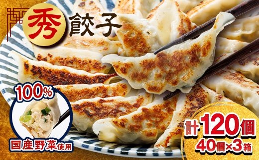 秀餃子 120個(40×3箱)2.4kg 国産野菜と肉の新鮮さにこだわった本気のぎょうざ 国産 冷凍【配送不可地域：離島】【1622598】