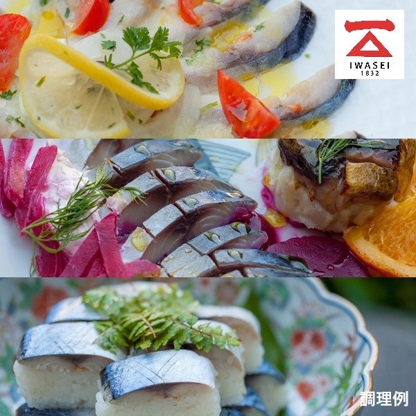 a14-140縲縲悟。ゥ魃悶→縺励a魃悶そ繝繝医阪&縺ー縲魃悶繧オ繝舌蝗ス逕」縲縺励a魃悶蝪ゥ魃悶蛟句桁陬縲雍育ュ斐隧ー繧∝粋繧上○縲蜀キ蜃阪繧ー繝ォ繝。縲雍育ュ
