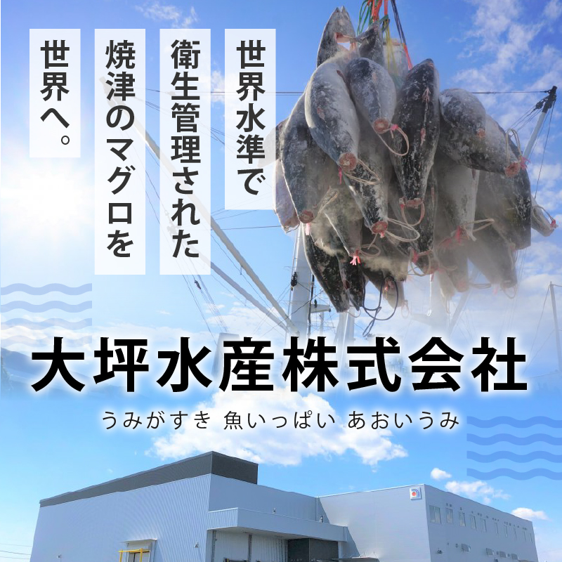 a12-150202607縲縲2026蟷エ7譛育匱騾√醍┥豢・ 繝槭げ繝ュ 縺ュ縺弱→繧 繧サ繝繝 S4