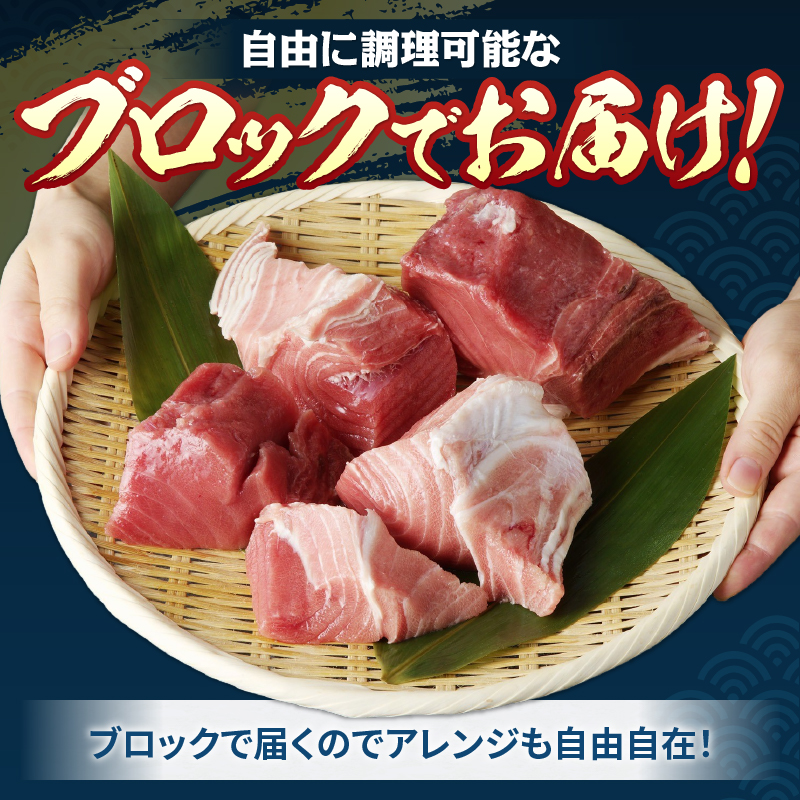 a20-493　本マグロ トロ ブツ 1kg