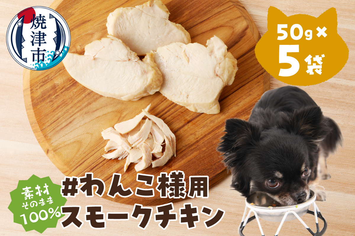 a11-220　わんこ様用5点セット