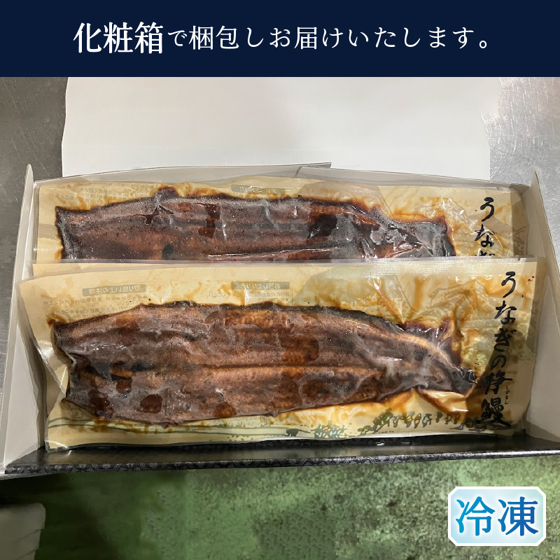 a17-099縲髱吝イ。逵檎肇 縺縺ェ縺 髟キ辟シ縺 140g 2蟆セ