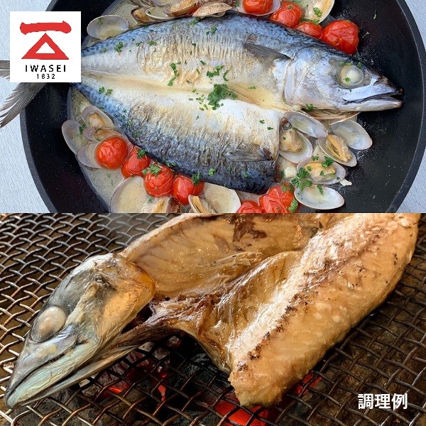 a18-111縲縲悟。ゥ魃6繧サ繝繝医榊嵜逕」縲縺輔ー縲魃悶繧オ繝舌蝪ゥ繧オ繝舌蛟句桁陬縲蜀キ蜃 繧ー繝ォ繝。縲雍育ュ