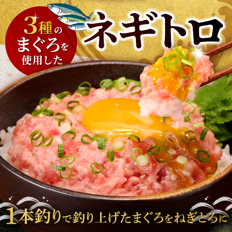 a10-1289　ネギトロ100g×16パック 合計1.6kg