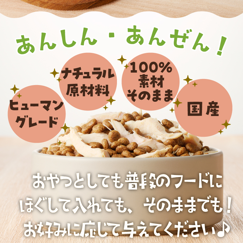 a11-220　わんこ様用5点セット