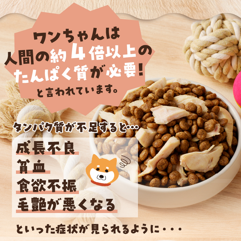 a11-220　わんこ様用5点セット