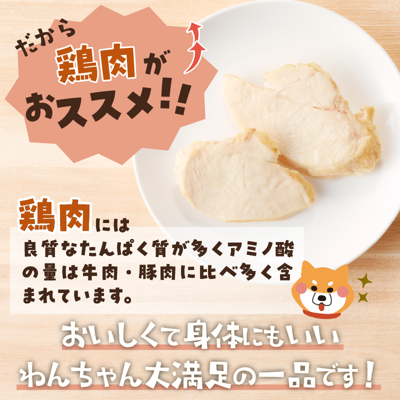 a11-220　わんこ様用5点セット