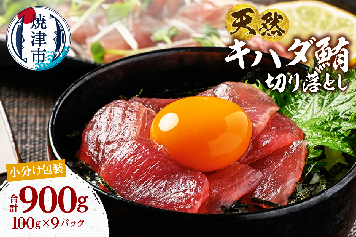 a12-279　天然 キハダマグロ 一口サイズカット 刺身 小分け セット 赤身 1パックあたり 100g 海鮮丼 刺身 寿司 漬け丼 焼津 海の極 900g（100g× 9パック）