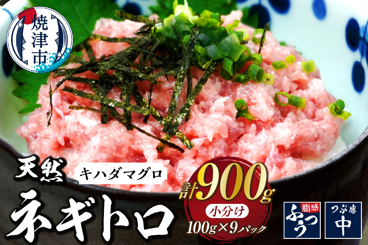 a10-1288　焼津 海の極 海伸 マグロ ネギトロ 小分け 900g 100g×9パック