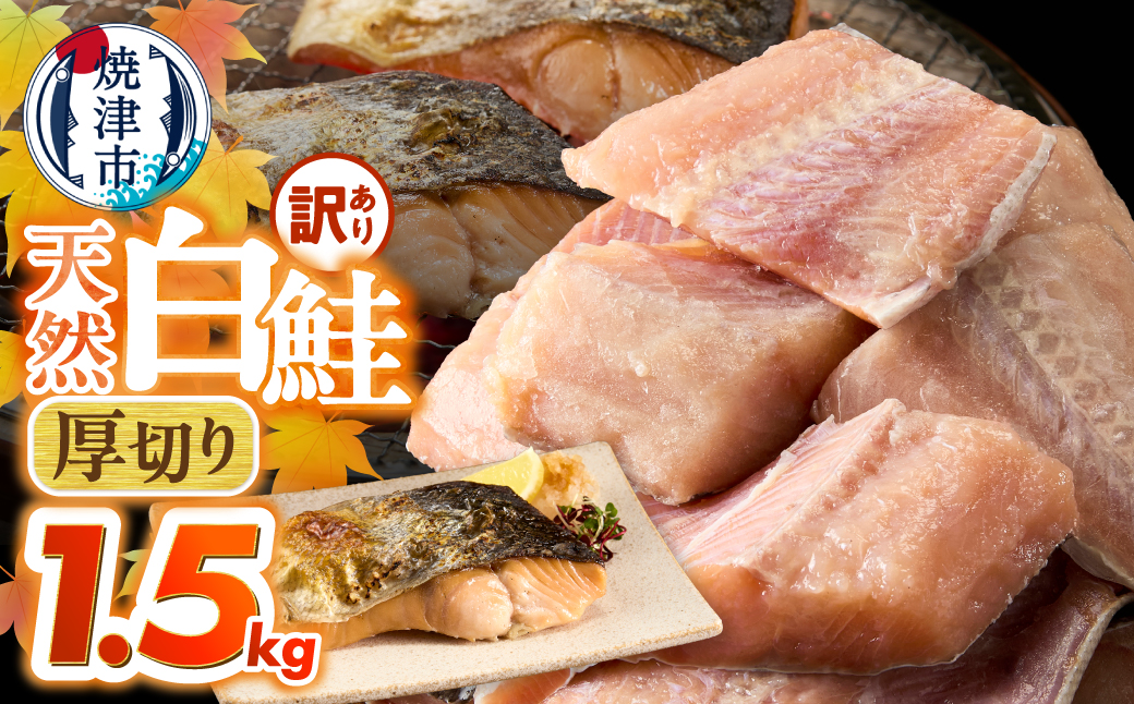 a10-1311 厚切りカット!天然 白鮭 甘口 切身 約1.5kg