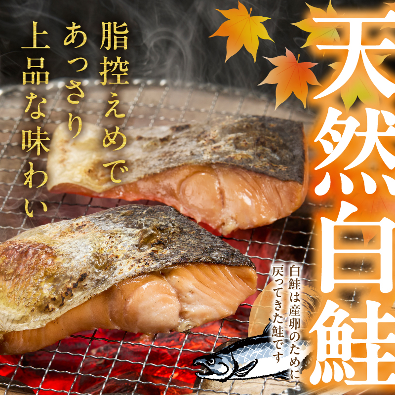 a15-713　厚切りカット！天然 白鮭 甘口 切身 約2kg