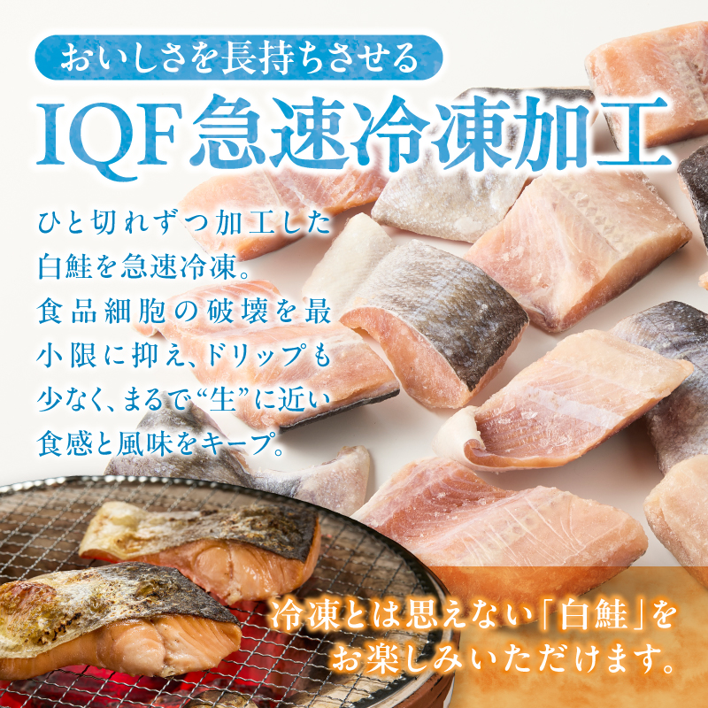 a15-713　厚切りカット！天然 白鮭 甘口 切身 約2kg