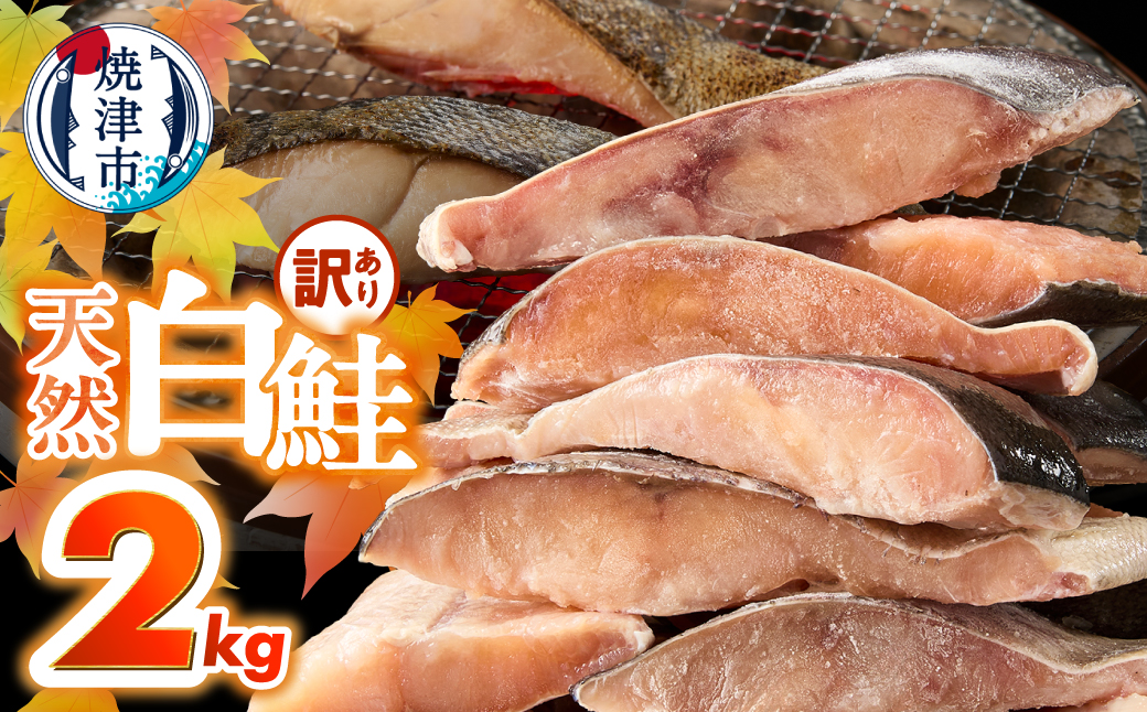 訳あり! 天然 白鮭 甘口 切身 約2kg 便利なジッパーバック入り