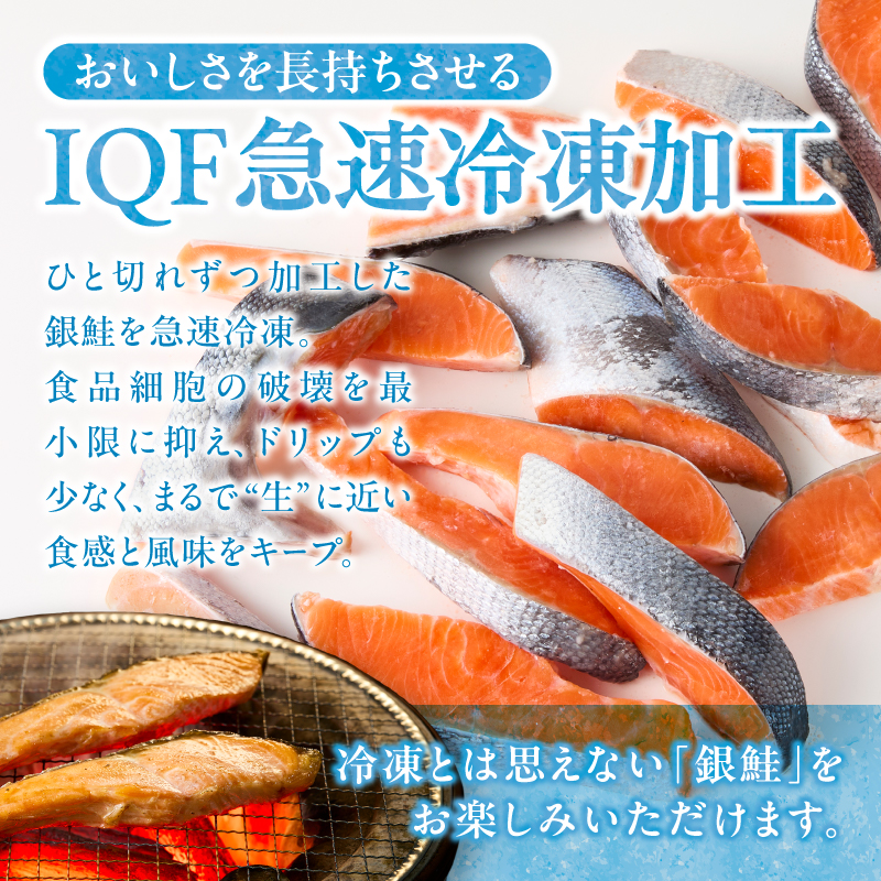 a20-489縲險ウ縺ゅjシ 驫魄ュ 蛻霄ォ 邏2.4kg 萓ソ蛻ゥ縺ェ繧ク繝繝代シ繝舌ャ繧ッ蜈・繧