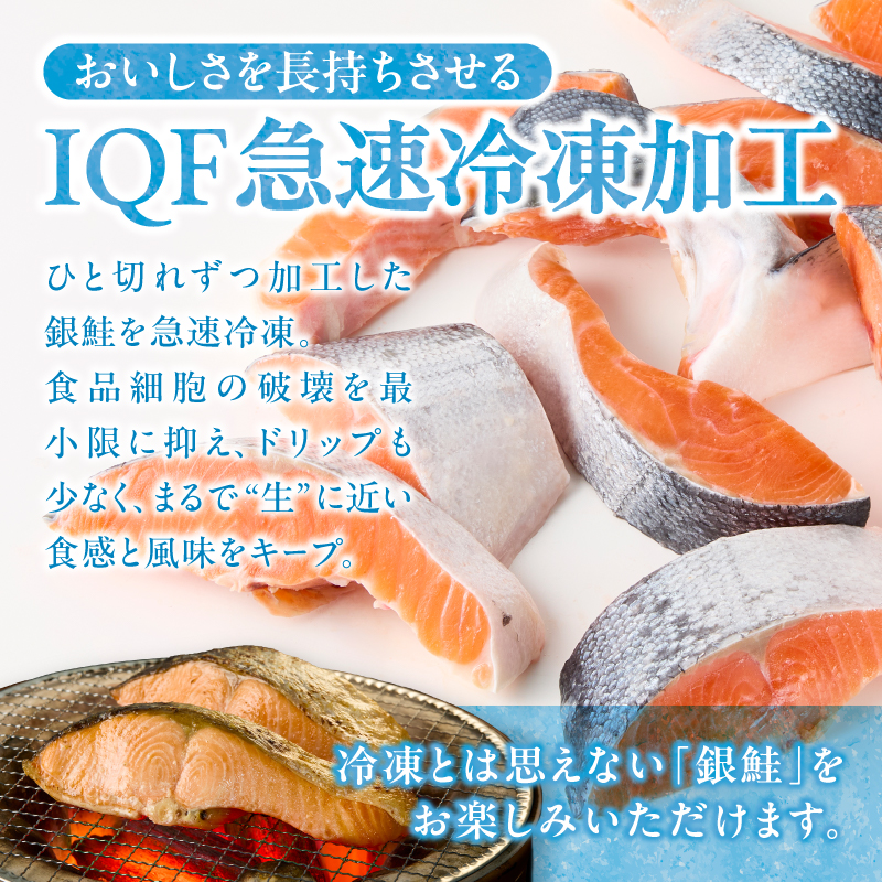 a15-716　厚切りカット！ 訳あり 銀鮭 切身 約1.8kg