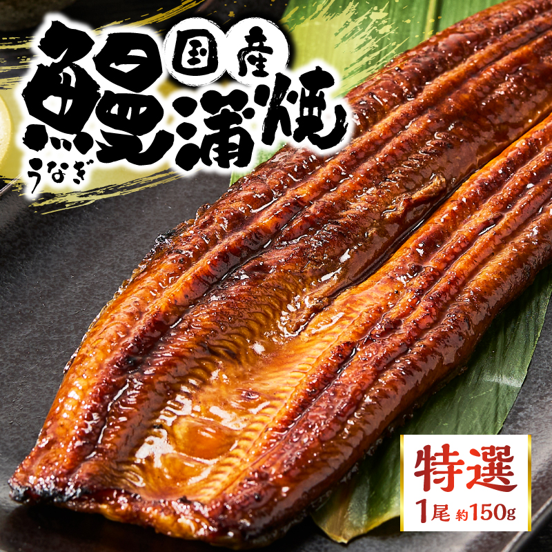 a10-1293縲迚ケ驕ク 蝗ス逕」縺縺ェ縺手調辟シ 邏150g