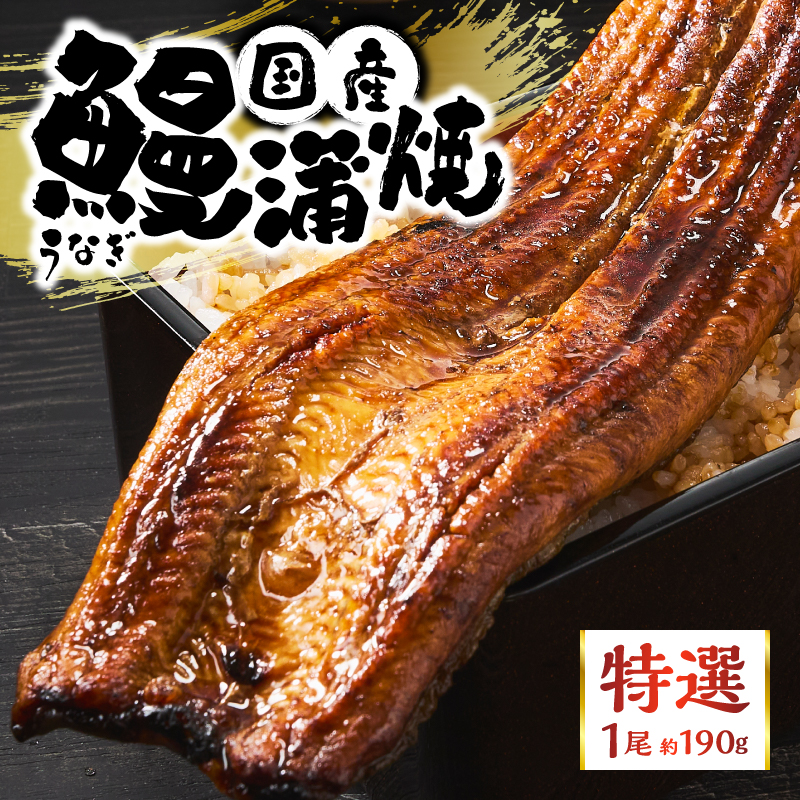 a60-043縲縲仙ョ壽悄萓ソ 5蝗槭醍音驕ク 蝗ス逕」縺縺ェ縺手調辟シ螳壽悄萓ソ 邏190gテ5蝗