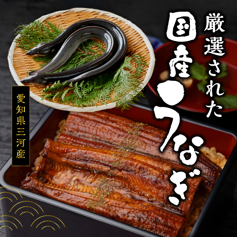 a60-043縲縲仙ョ壽悄萓ソ 5蝗槭醍音驕ク 蝗ス逕」縺縺ェ縺手調辟シ螳壽悄萓ソ 邏190gテ5蝗