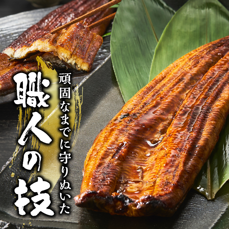 a60-043縲縲仙ョ壽悄萓ソ 5蝗槭醍音驕ク 蝗ス逕」縺縺ェ縺手調辟シ螳壽悄萓ソ 邏190gテ5蝗