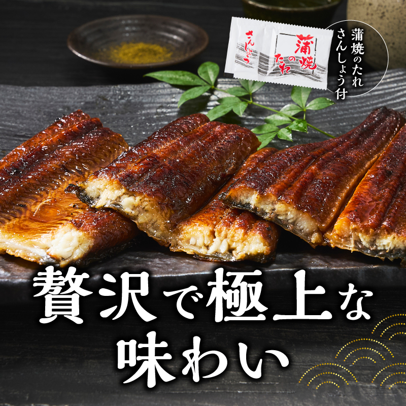 a60-043縲縲仙ョ壽悄萓ソ 5蝗槭醍音驕ク 蝗ス逕」縺縺ェ縺手調辟シ螳壽悄萓ソ 邏190gテ5蝗