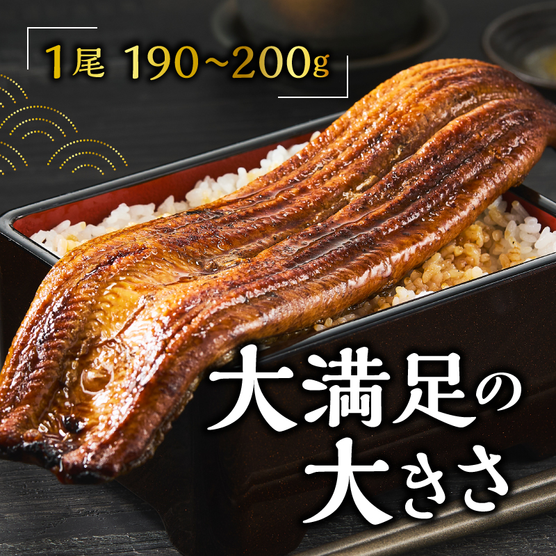 a60-043縲縲仙ョ壽悄萓ソ 5蝗槭醍音驕ク 蝗ス逕」縺縺ェ縺手調辟シ螳壽悄萓ソ 邏190gテ5蝗
