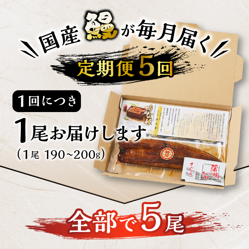 a60-043縲縲仙ョ壽悄萓ソ 5蝗槭醍音驕ク 蝗ス逕」縺縺ェ縺手調辟シ螳壽悄萓ソ 邏190gテ5蝗