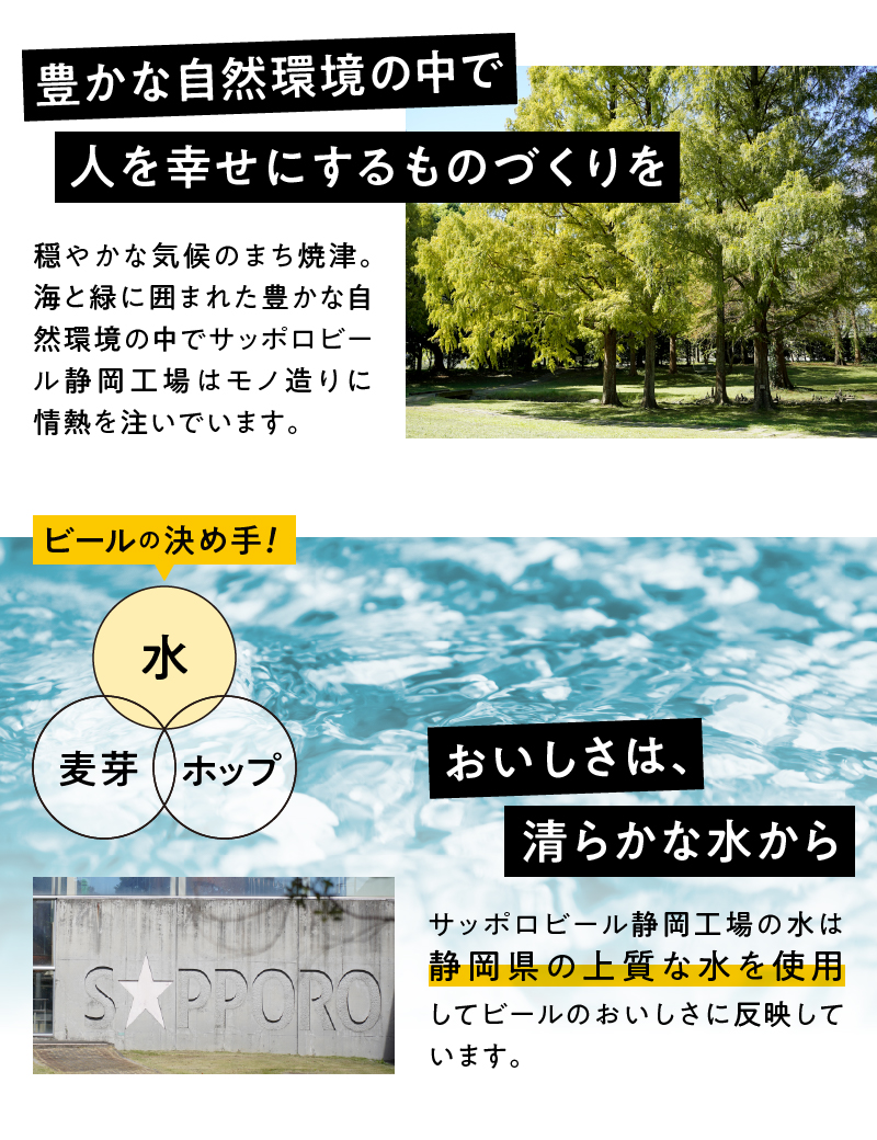 a22-049縲繧ィ繝薙せ 500mlテ1邂ア縲千┥豢・ 繧オ繝繝昴Ο 繝薙シ繝ォ縲