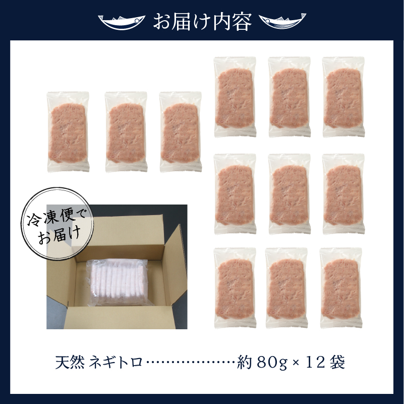 a10-635縲螟ゥ辟カ繝阪ぐ繝医Οシ80gテ12陲)