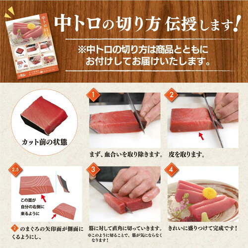 a27-013　マグロ 中トロ 訳あり 刺身 冷凍 炙り 寿司 丼 ぶつ切り まぐろ専門店 天然 本まぐろ中トロ 1kg