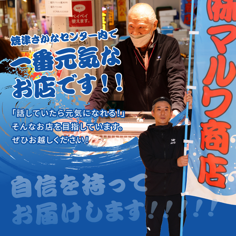 a10-635縲螟ゥ辟カ繝阪ぐ繝医Οシ80gテ12陲)