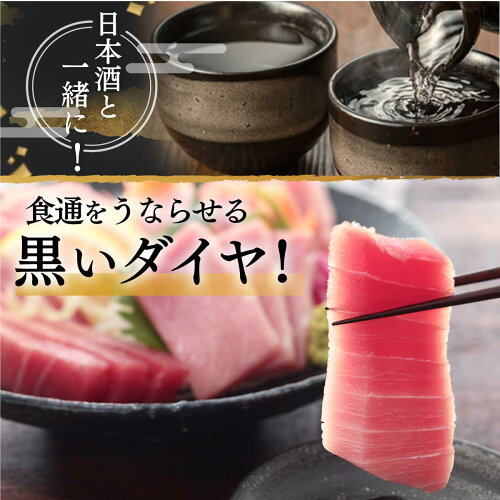 a27-013　マグロ 中トロ 訳あり 刺身 冷凍 炙り 寿司 丼 ぶつ切り まぐろ専門店 天然 本まぐろ中トロ 1kg