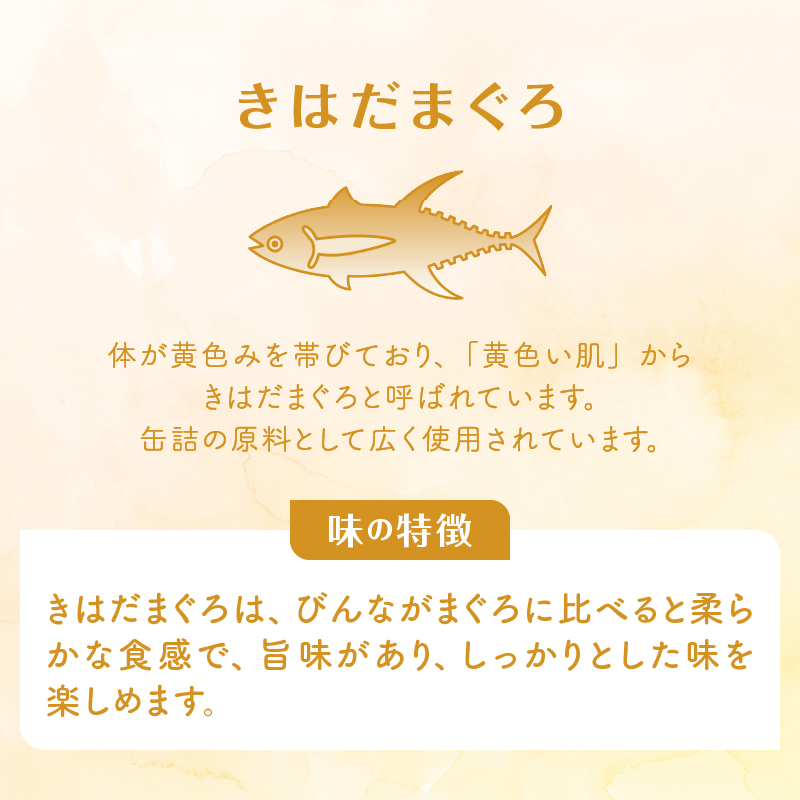 a30-253　シーチキンＬ