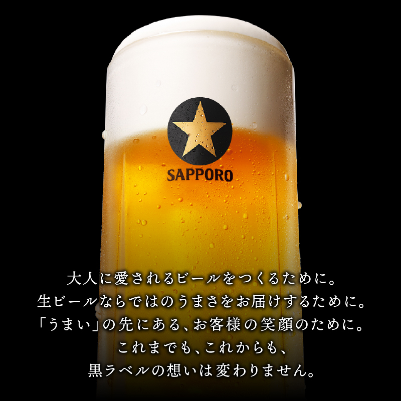 a21-070　【 焼津 サッポロ ビール 】 黒 ラベル 500ml×1箱