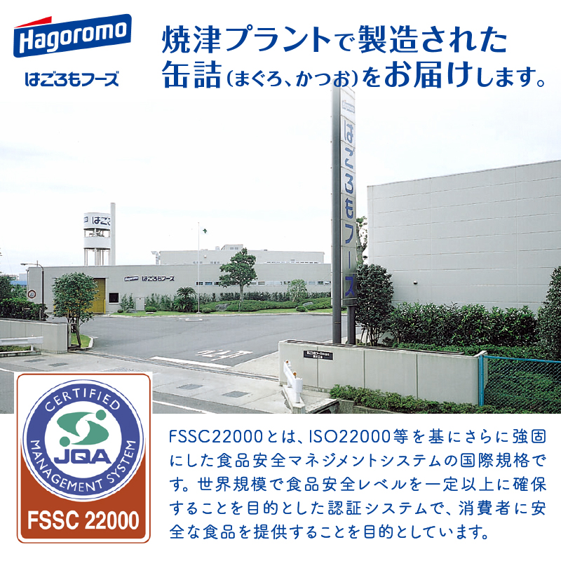 a30-253　シーチキンＬ