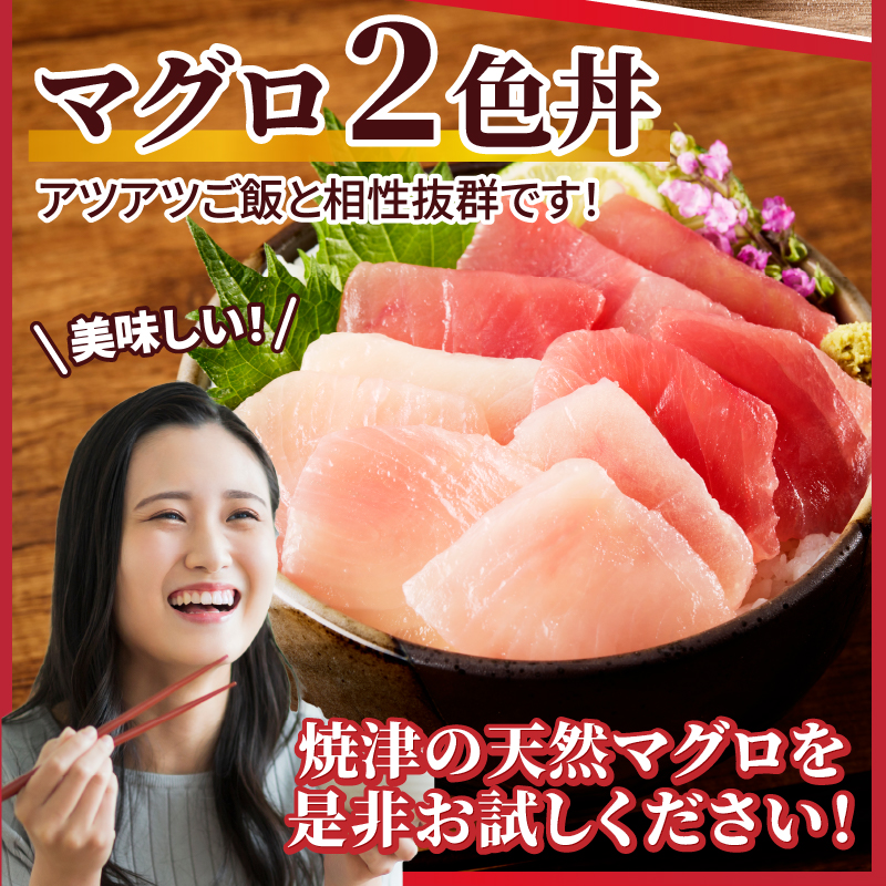 a10-924　天然鮪 焼津 キハダマグロ ビンチョウマグロ 計1kg