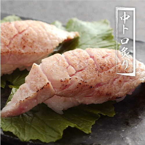 a27-013　マグロ 中トロ 訳あり 刺身 冷凍 炙り 寿司 丼 ぶつ切り まぐろ専門店 天然 本まぐろ中トロ 1kg