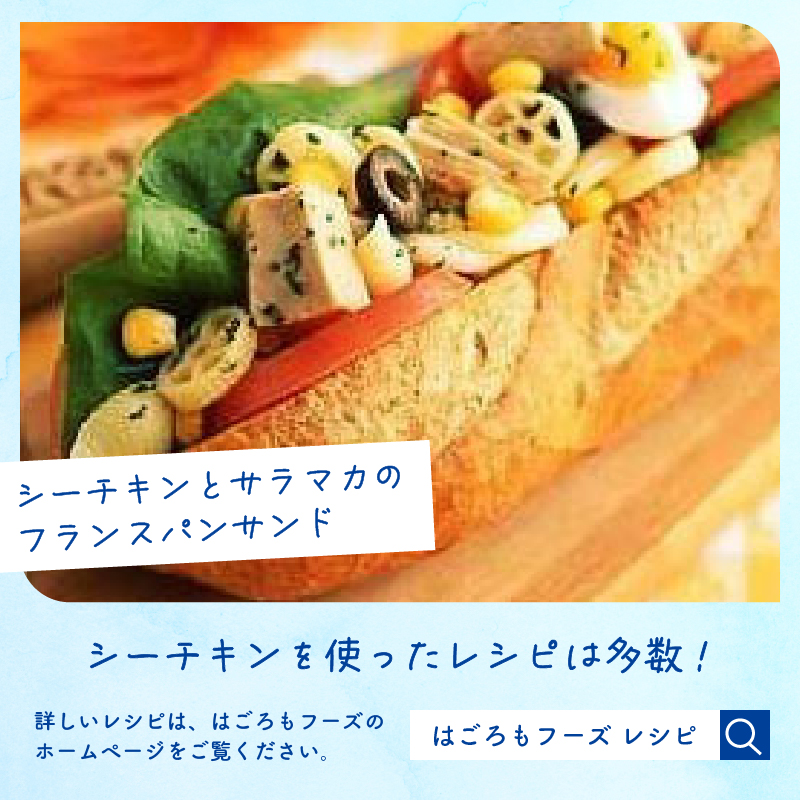 a30-253　シーチキンＬ