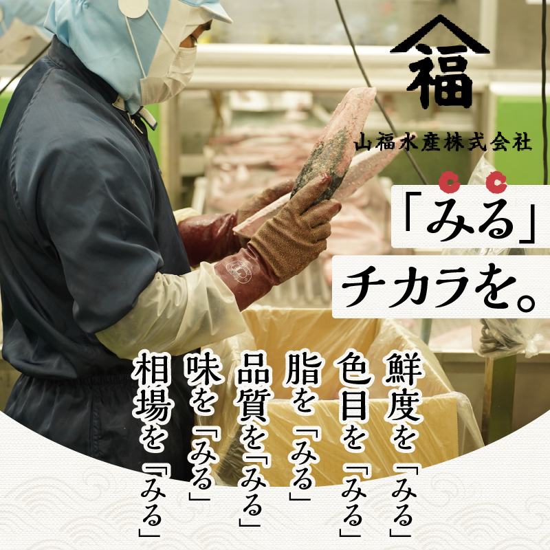 a10-519縲1.5kg 繝阪ぐ繝医Ο 繧サ繝繝